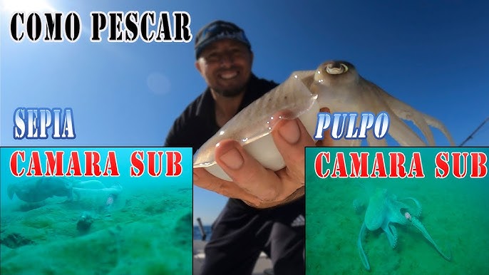 IMPOSIBLE NO PESCAR CALAMARES CON ESTA TÉCNICA 