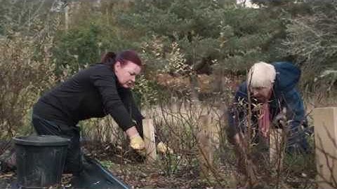 Autumn at Dundreggan