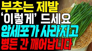 부추는 꼭! '이렇게' 드세요!! 죽어가는 간 다시 살아나는 봄 부추의 미친 효능