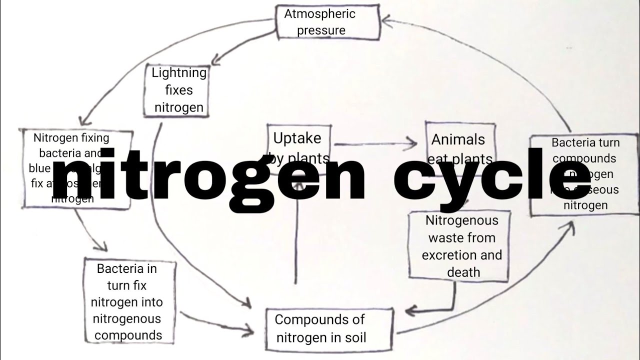 The BioLogs: October 2014