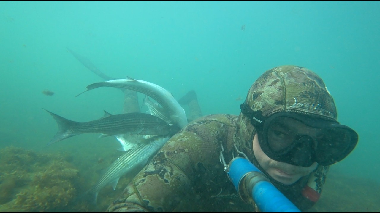 Море волнуется, а рыба прет.