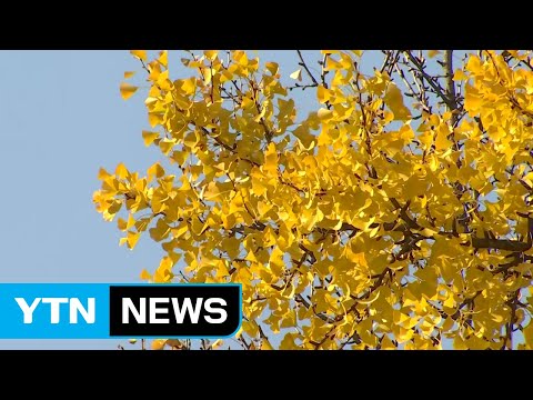 [날씨] 절기 '소설' 추위 없어...주말 맑고 온화 / YTN
