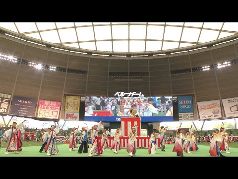 【4K】team IZUMO｜ IZUMO（ライオンズよさこい2023〜定点演舞〜）