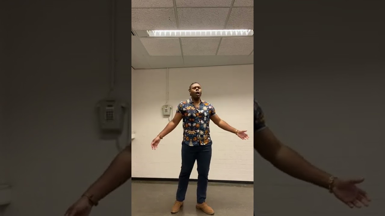 De miei bollenti spiriti - La Traviata