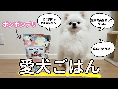POM POM DELI(ポンポンデリ)ドッグフードを実食してみた!健康に長生きして欲しい!
