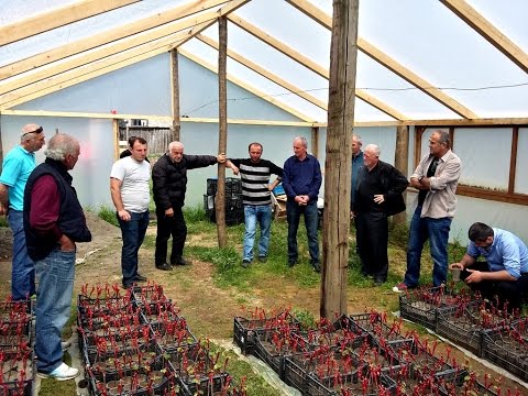 სადემონსტრაციო მოდელები_PIN/ENPARD supported Agriculture Demo Models in MY Farm Program