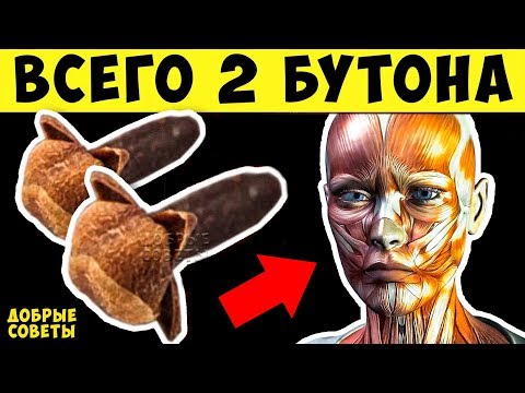 Что будет, если Есть по 2 бутона Гвоздики в День