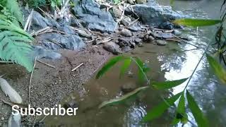 Download Lagu BETHARIA SONATA FULL ALBUM MP3