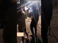 重庆 抖音游戏惩罚 Tiktok Game Punishment 틱톡 게임 벌칙 振動ゲームの罰 Game Punishment 게임 벌칙 ゲームの罰 重庆 抖音游戏惩罚 Tiktok Game Punishment 틱톡 게임 벌칙 振動ゲームの罰 Game Punishment 게임 벌칙 ゲームの罰