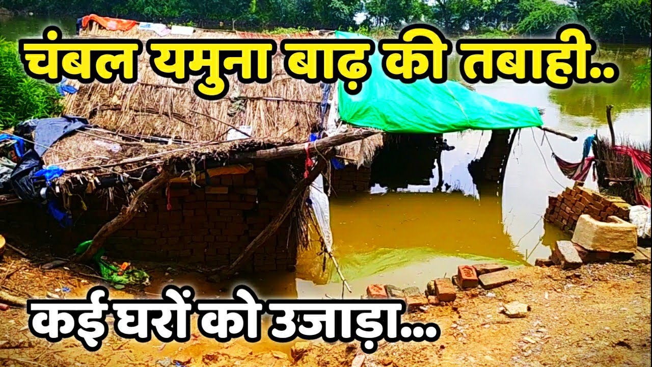 Chambal Yamuna में आई बाढ़ से तबाही का मंजर| Flood in Chambal| UP Flood | Kali wahan| Etawah| NH92