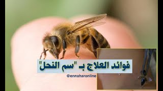 معجزة الله : شاهد عظمة النحلة و علاج لكل الامراض سبحان الله