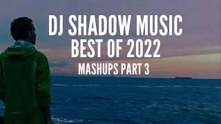 BEST OF 2022 • DJ Shadow Music (Mashups - Part 3)