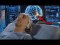 Scientists cant explain why this audio heals people 111hz  binaural beats