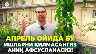 видео: ЧИЛПИШ, ЎҒИТЛАШ, СУҒОРИШ – КЕЛИНГ БИРГАЛИКДА КЎРИБ ЧИҚАМИЗ! | ШУҲРАТ АБРОРОВ #sugorish #ogitlash #uz картинка: ЧИЛПИШ, ЎҒИТЛАШ, СУҒОРИШ – КЕЛИНГ БИРГАЛИКДА КЎРИБ ЧИҚАМИЗ! | ШУҲРАТ АБРОРОВ #sugorish #ogitlash #uz