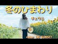 『冬のひまわり』チェウニさん/cover  OG sunset