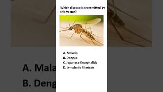 Do You Know Which Disease This Vector Spreads?