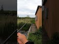 【戦慄...】釣った巨大ウシガエルの鳴き声がブチ切れた猫だった...