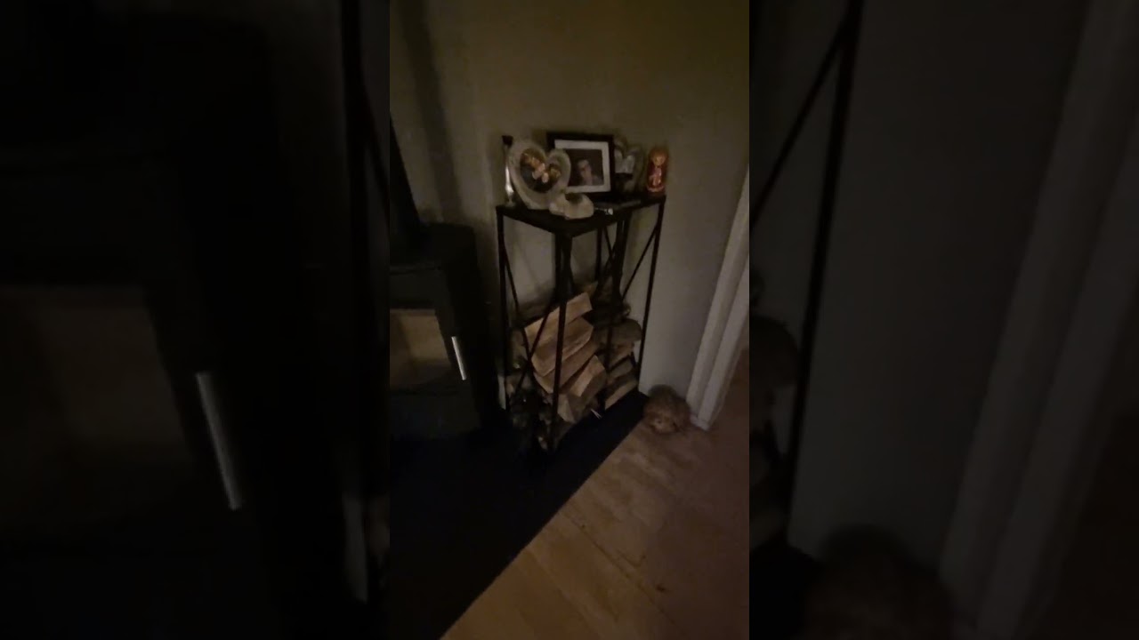 Edderkopp kom med veden