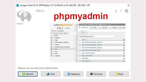 How to install phpmyadmin in Laragon