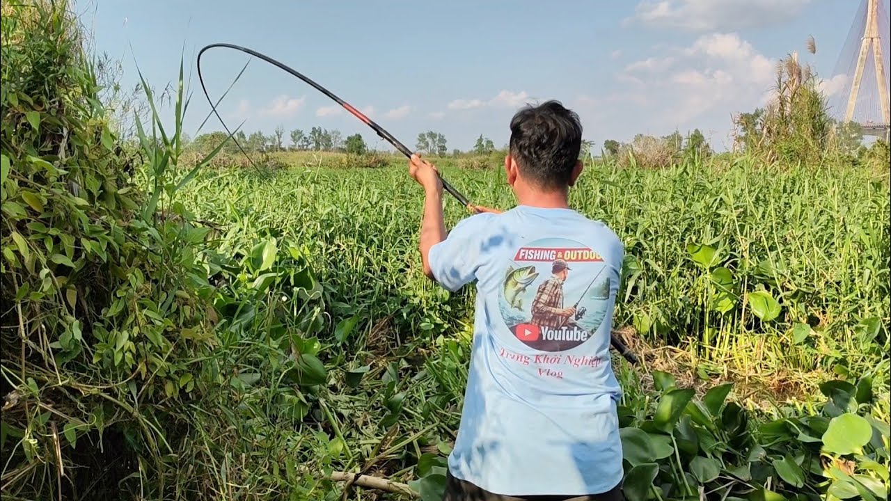 Chưa được hai phút đóng ngay hu go 