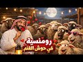 187 شوف العاشق الرومانسي مواعد زوجته في حوش الغنم قصص رعب رهيبه 