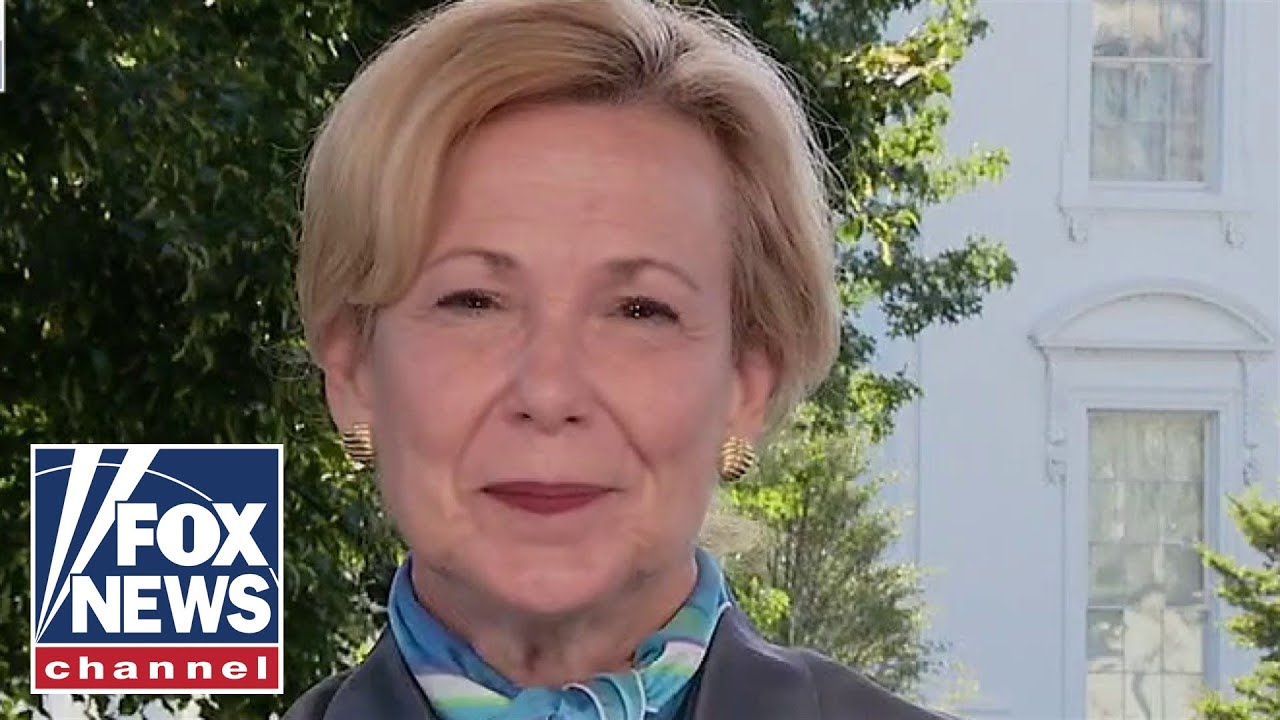 Dr Birx: There's no evidence hydroxychloroquine helps with coronavirus