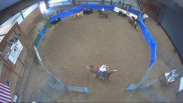 Big Sky Ranch Sorting Saddle Series #6 - #3 - Round #1 - Ride #21
