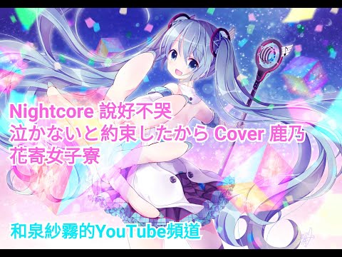 【和泉紗霧Nightcore】說好不哭 泣かないと約束したから  Cover 鹿乃 花寄女子寮 【中日歌詞】