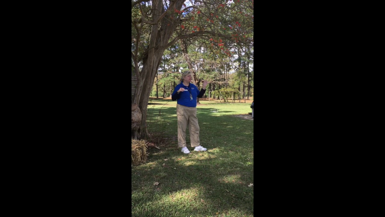 Bentonville Battleground Virtual Field Trip