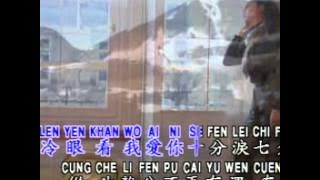 Amelia 美雅 - 爱你十分泪七分 Ai Ni Shi Fen Lei Qi Fen