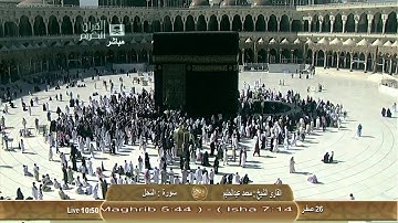 القارئ الشيخ - محمد عبدالحليم ~ ماتيسر من سورة النحل