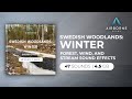 Swedish Woodlands: Winter Sound Effects Library