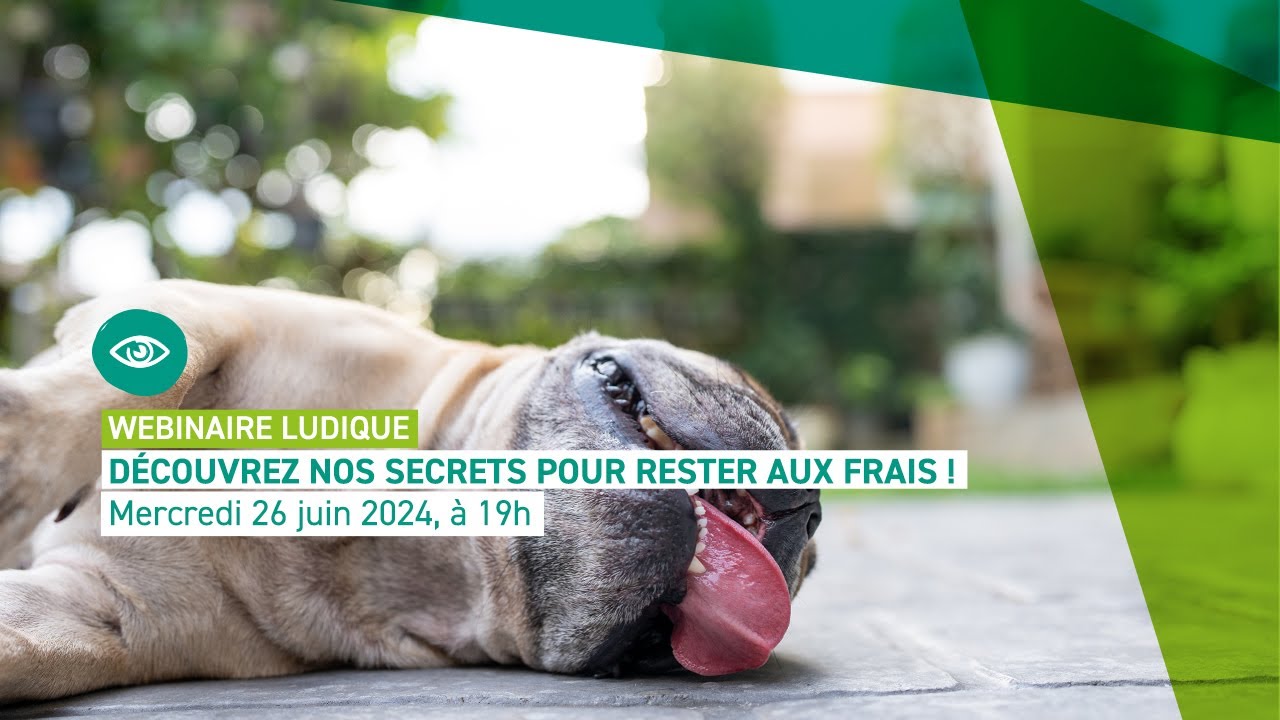 webinaire-ludique-d-couvrez-nos-secrets-pour-rester-au-frais