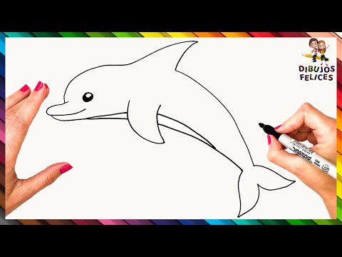 Video: ¿Son iguales los delfines de Héctor y Maui?