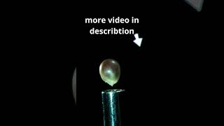 Popping Popcorn at 30,000 FPS in Ultra Slow Motion 2022  #shorts