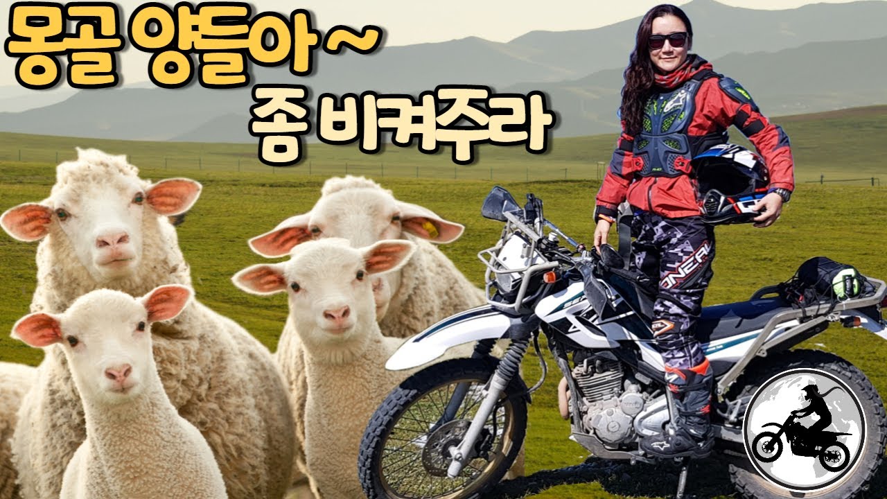 Мотоциклетный тур по Монголии-гонщице из Кореи 2