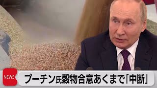 プーチン大統領 穀物輸出合意「停止ではなく中断」（2022年11月1日）