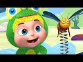 Five Little Speckled Frogs And More Nursery Rhymes & Kids Songs | Zool Babies Songs| Learning Videos