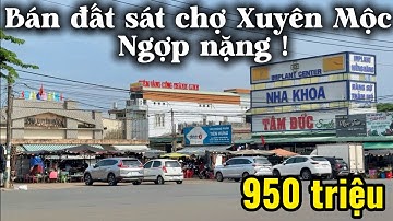 #532 (Đã bán) Tiếc nuối bán lỗ mảnh đất tiện nghi cách vài bước chân | Ngay chợ Xuyên Mộc, Hồ Tràm