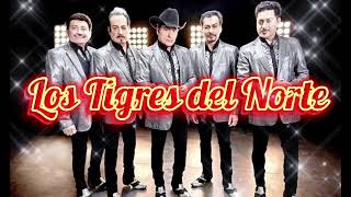 LOS TIGRES DEL NORTE - Éxitos #maritavlogs #lostigresdelnorte #purosexitos #mexico 🐅🎶