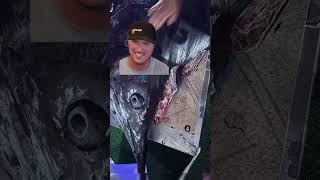 A mutilated fish in a blue marlin fishing tournament,