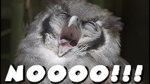 INSANE 1440 OUT OF MAP MW3 HITMARKER !