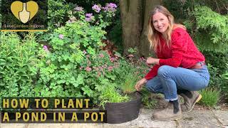 How To Plant A Pond In A Pot - Katie Rushworth