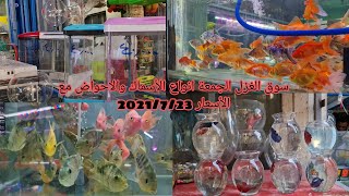 سوق الغزل لبيع الحيوانات في بغداد انواع أسماك الزينة مع الأسعار 2021/7/23