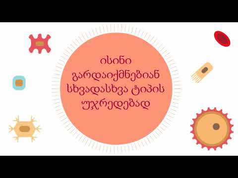 რა არის პერინატალური ღეროვანი უჯრედები?