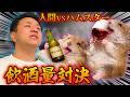 【バケモノ】ハムスターと飲酒量で戦ってみたら地獄を見た