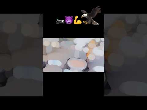 Brand 👿💪🦅🔥❌⁉️ ( vikash shakya ) #shortvideo #viralvideo #youtubeshorts #trendingshorts