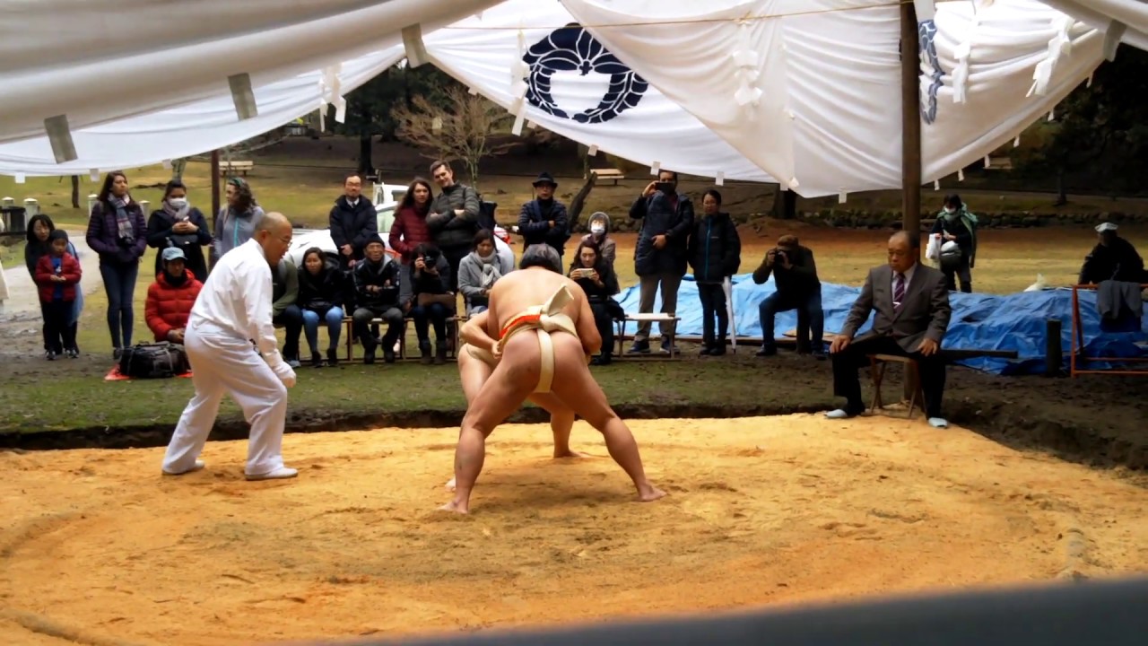 ２０１９年　春日若宮おん祭奉納相撲②