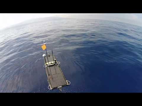 Video 1