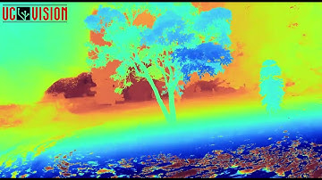 3D Tree Models by UC Vision